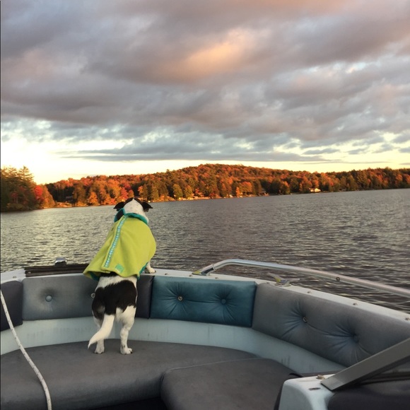 Meet your Posher, Carol - Picture 8 of 10